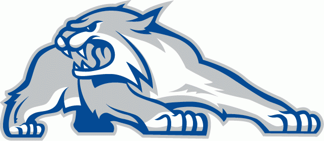 New Hampshire Wildcats 2000-Pres Alternate Logo v2 DIY iron on transfer (heat transfer)